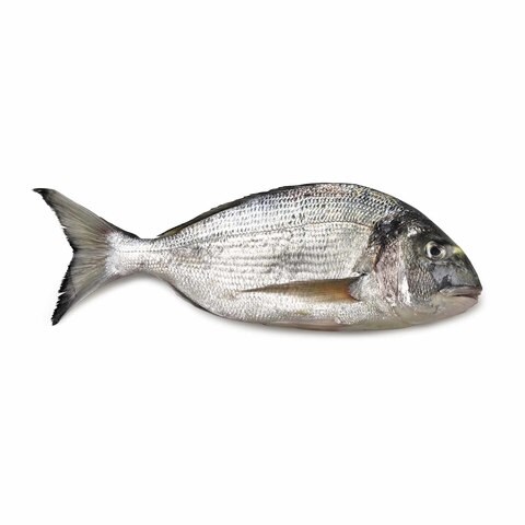 Big Silver Bream (1-2Pc/K) price in Egypt | Carrefour Egypt ...