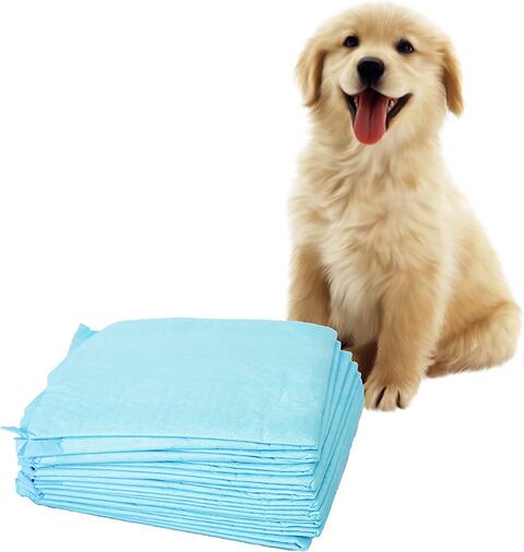 Luxe Decora Disposable Absorbent Pet Diaper Dog Training Pee Urine Pads, Leak-Proof Pee Pads (60x45, 100)