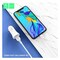 Denmen DZ06V Car Charger With Micro Cable White