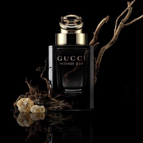 Gucci cheap oud edp