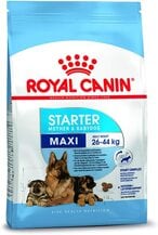 اشتري Royal Canin Shn Maxi Starter 4Kg Size Health Nutrition Dog Food, Multicolor,Maxi Starter Dog Dry Food في الامارات
