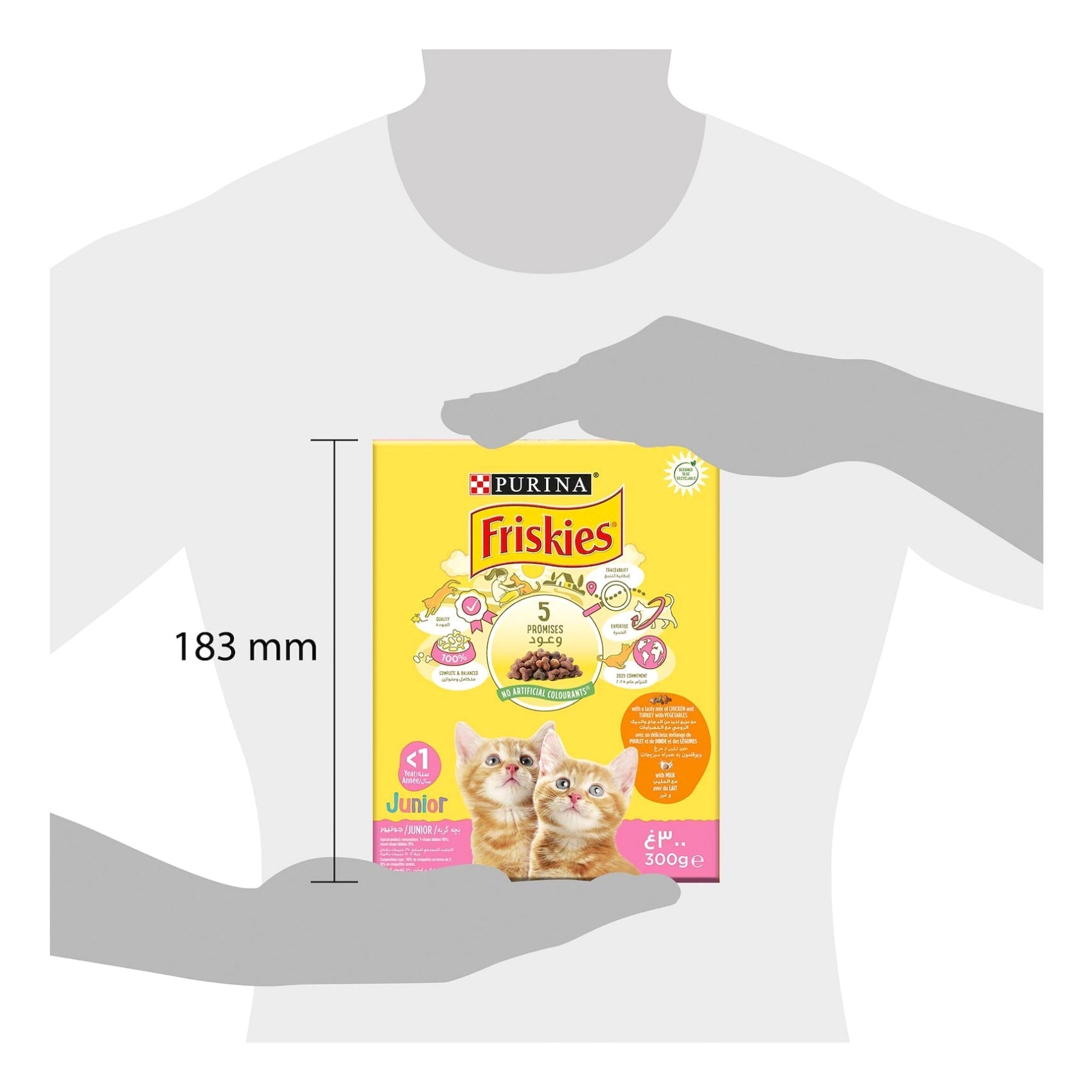 Friskies junior cat store food