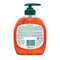 Palmolive Hygiene Plus Family liquid Handwash 300ml