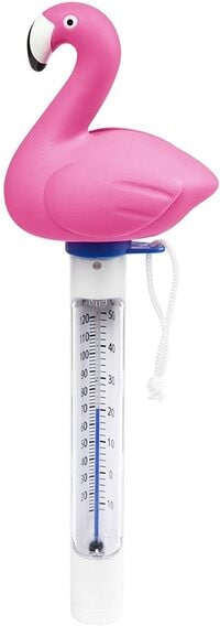 Bestway Flowclear Float Pool Thermometer Assorted, Pool Maintenance Equipment, One Piece Sold Randomly, 58595