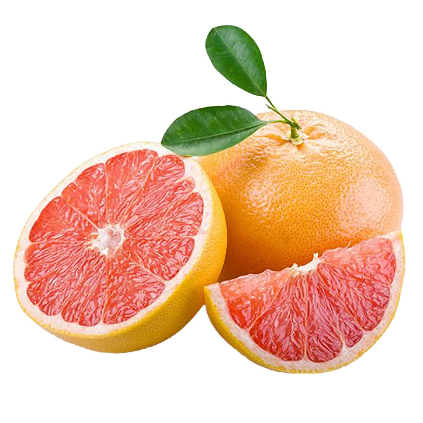 Buy Star Ruby Grapefruit Online Shop Fresh Food on Carrefour UAE