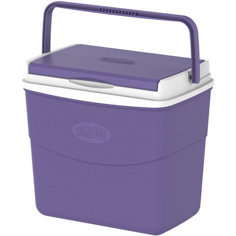 Cosmoplast Picnic Icebox 20L (Assorted Color,Randomly picked)