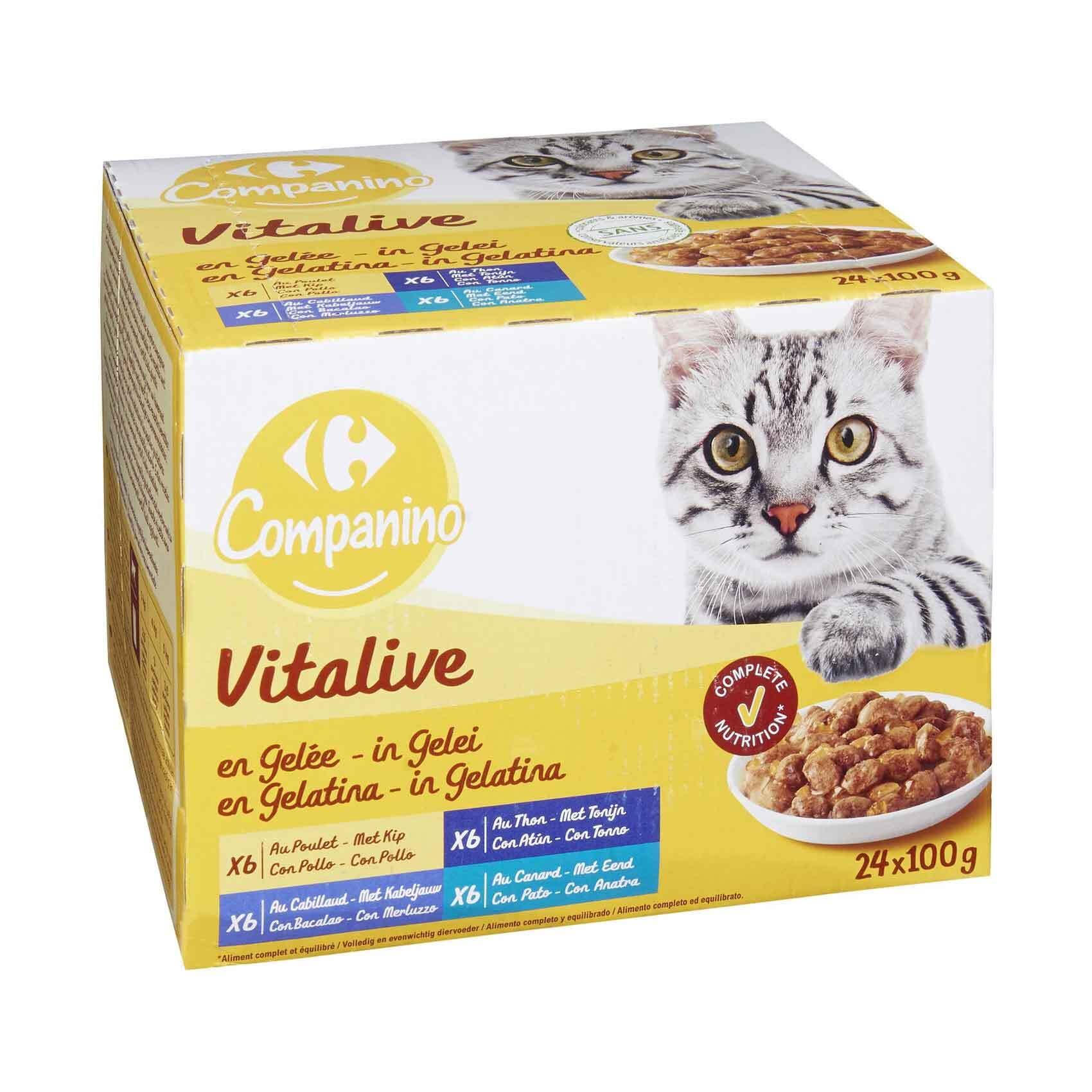 Carrefour Companino Vitalive In Jelly Cat Food 100gx24pieces Online |  Carrefour Qatar