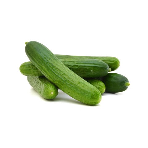 Buy Cucumber in UAE