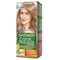 Garnier Hair Color Natural Deep Ashy Light Blonde No.8.11