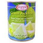 Buy Teptip Jackfruit In Syrup 565g in UAE