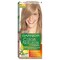 Garnier Hair Color Natural Light Ash Blonde No.8.1