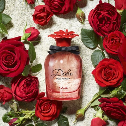 Buy Dolce Gabbana Dolce Rose Eau De Toilette For Women 75ml