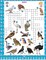 My Activity- Crossword Activity Book