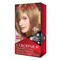Revlon Colorsilk Beautiful Color Ammonia Free Permanent Haircolor 61 Dark Blonde