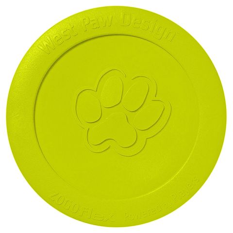 اشتري West Paw Zisc Dog Chew Toy Disc (Green, Large) في الامارات