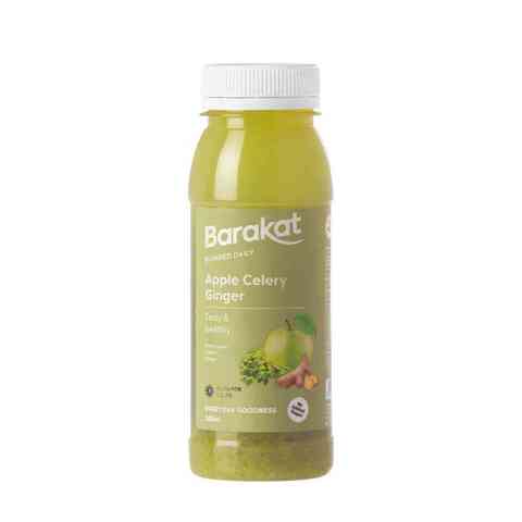 Barakat Apple Celery and Ginger Juice 200ml price in UAE | Carrefour ...