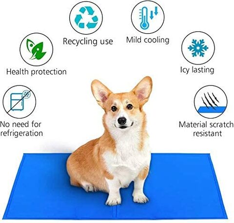 Chilly dog on sale cooling mat