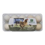 اشتري المزارعون المصريون بيض بلدي - 10 بيضات في مصر