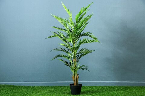 Pan Emirates Palm Tree Green