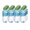 Arwa Bottled Drinking Water 200ml Pack of 12