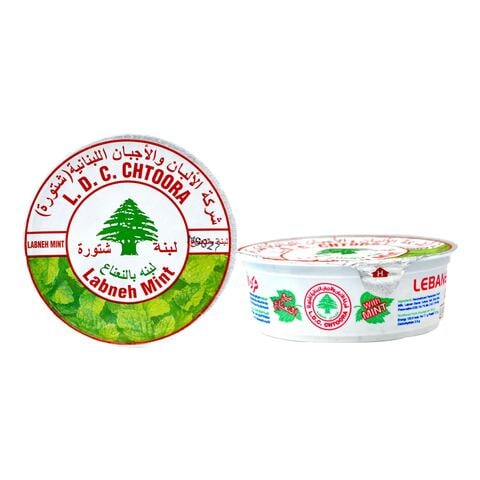 Lebanese Dairy Co. Chtoora Labneh With Mint 225g