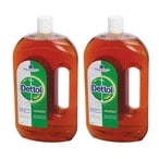 Buy Dettol Liquid Disinfectant, 950 ml - Pack of 2 in Egypt