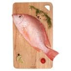 Buy Fresh Red Snapper Fish Small in UAE