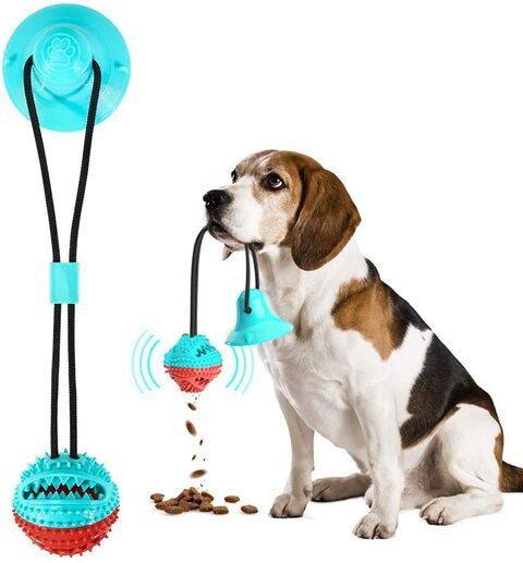 Suction cup sale dog chew toy