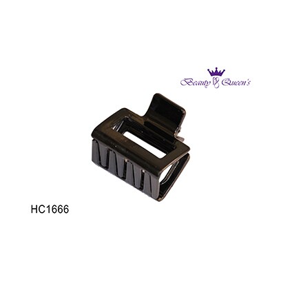 Beauty Queen Hair Square Clips Hc1666