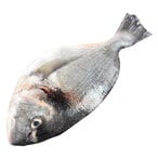 Buy Sea Bream Fish - Tabuk in Saudi Arabia