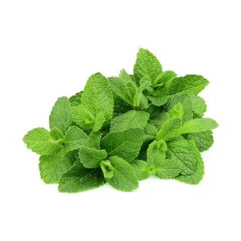 Agrico Mint 180g