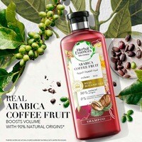 Herbal Essences Bio Renew Volume Arabica Coffee Fruit Shampoo 400ml