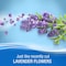 Febreze air freshener lavender spray 300ml