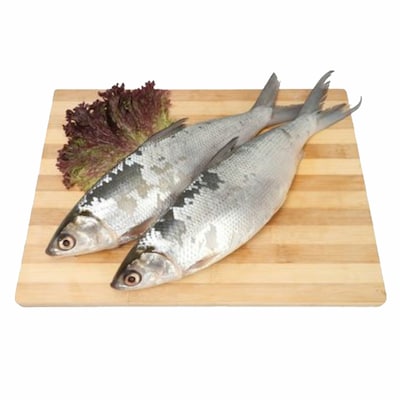 Buy Fresh Norway Salmon Fish 2-3kg Online - Shop Fresh Food on Carrefour  Saudi Arabia