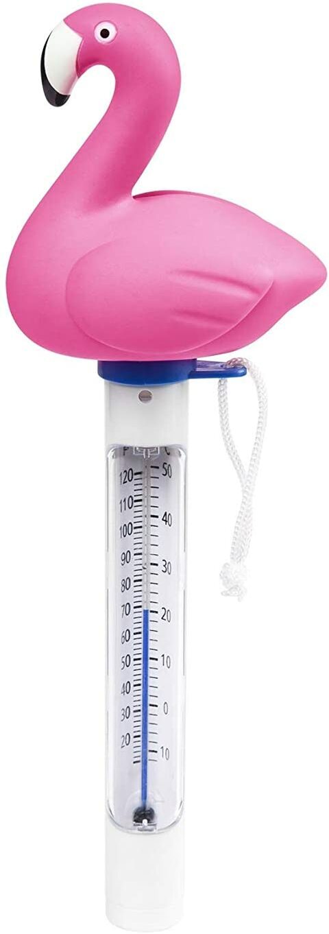 Buy Bestway Flowclear Float Pool Thermometer Assorted, Pool Maintenance Equipment, One Piece Sold Randomly, 58595 in UAE