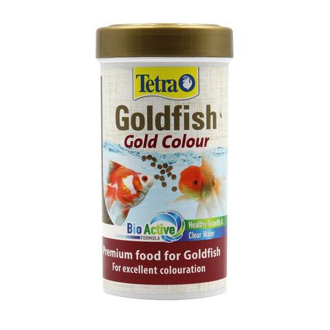 Tetra Goldfish Gold Colour Feed price in UAE