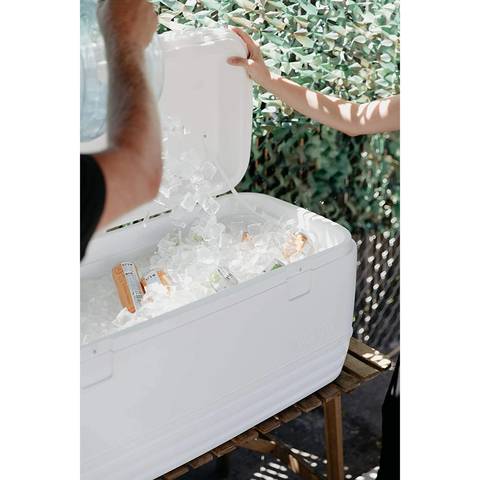 Igloo Polar Cooler 00044577 White 113L