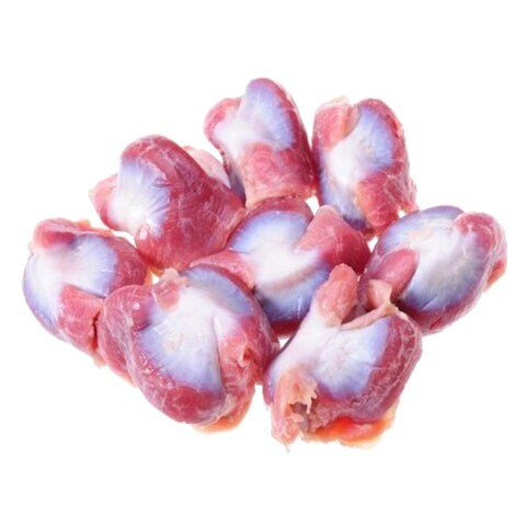 Fresh Chicken Gizzard