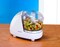 Kenwood 300W Electric Food Chopper With 350ml Bowl, Dual Speed, Stainless Steel Blade, New &lsquo;Mayonnaise&rsquo; Oil Drip Lid, Compact Design, Rubber Feet, Safety Bowl Interlock CH180A, White