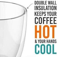 Lushh Double Wall Insulated Tea Cup with Handle Design 350 ML, Made of borosilicate glass suitable for a coffee cold and hot drinks such as cappuccino latte espresso tea