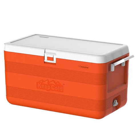 Cooler box hot sale carrefour