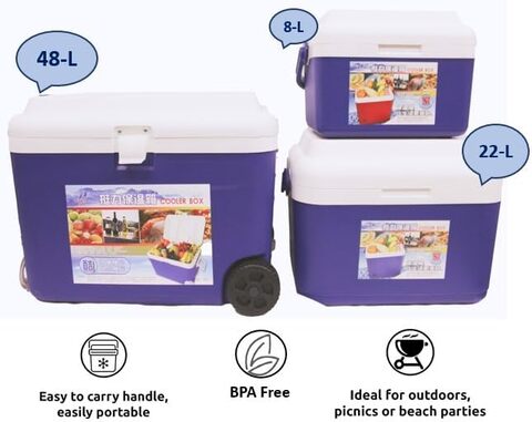 Portable best sale ice boxes