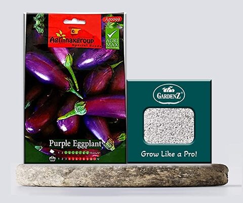 Purple Eggplant Seeds AG0099 High productivity + Agricultural Perlite Box (5 LTR.) by GARDENZ