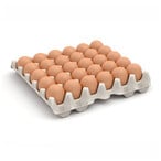 Buy GOLDEN EGG RED EGGS 30 P in Egypt