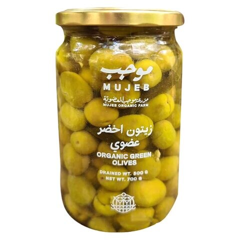 Mujeb Organic Farm Green Olives 700g price in UAE | Carrefour UAE ...