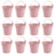 Aiwanto 30Pack Mini Metal Bucket Decoration for Birthday Decoration Buckets Garden Small Pot Bucket Decoration Party  Home Office Party Baby Shower Box Buckets