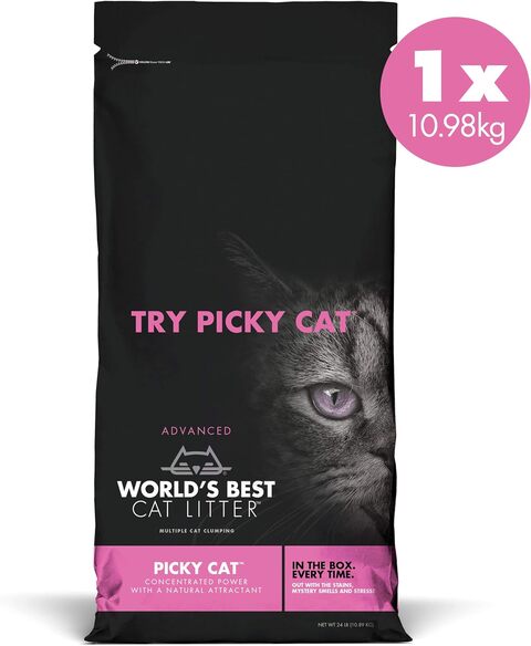 Litter for 2025 picky cats