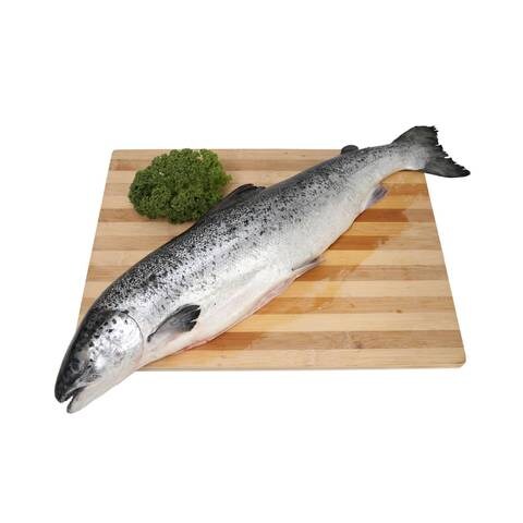 Buy SALMON WHOLE FISH NORWAY KG Online