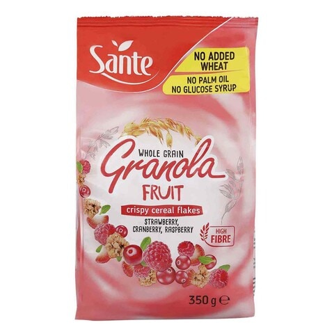 Sante Granola With Fruits Packet - 350 grams
