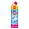Clorox Multipurpose Cleaner &amp; Disinfectant Gel Floral Magic Scent 750 ml